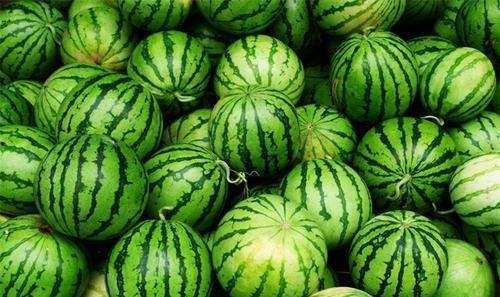 今日吃瓜黑料海外吃瓜辛尤里,辛尤里成焦点，吃瓜黑料引发热议