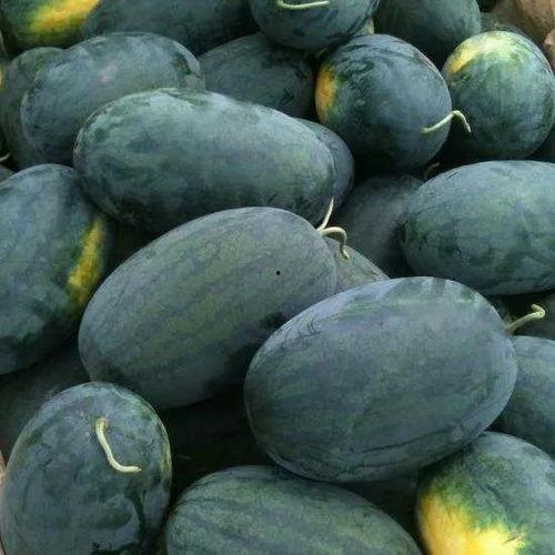 四川校园黑料吃瓜,揭秘校园背后的惊人真相